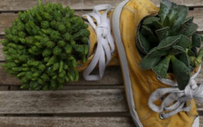 Aprenderás a transforma tus zapatillas en un bonito macetero
