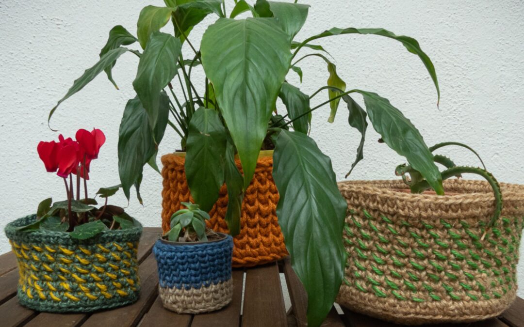 Decora tus plantas con cubre macetas hechas por ti